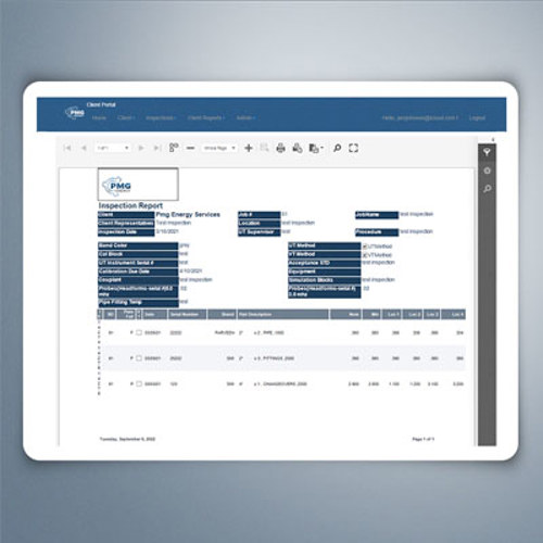 Inspection Portal